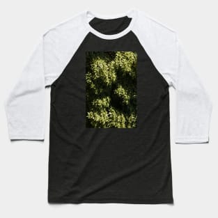 Green Leaves Tree Canopy High Above Baseball T-Shirt